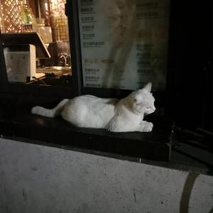 高清码🔞❌♋免费照片在线观看
